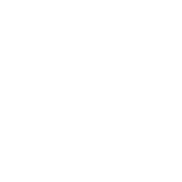 Tiktok logo